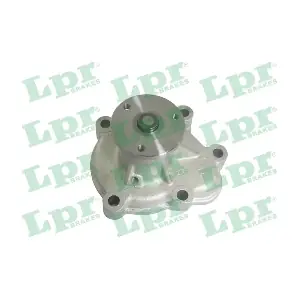WP0785 LPR