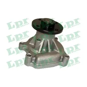 WP0063 LPR