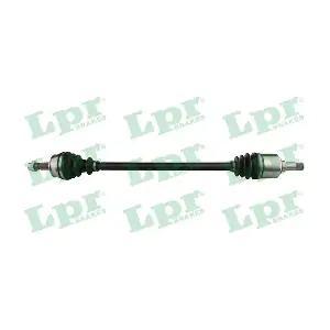 DS20241 LPR
