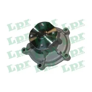 WP0871 LPR