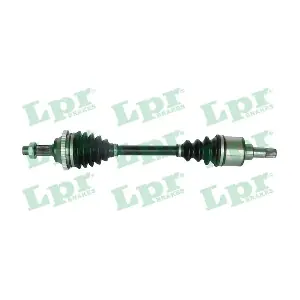 DS38180 LPR