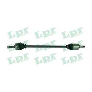 DS60480 LPR