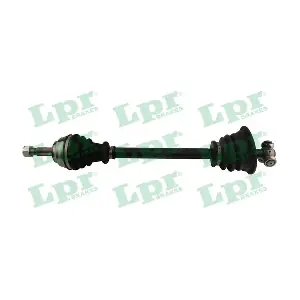 LPR DS39061