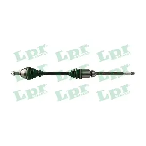 DS38060 LPR