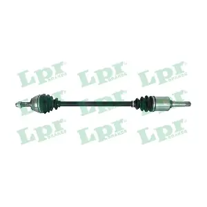 DS38040 LPR