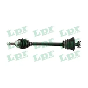 DS39040 LPR
