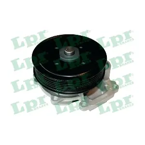 WP0880 LPR