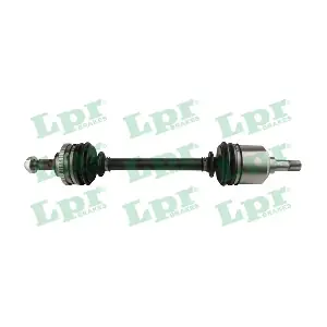 DS16217 LPR