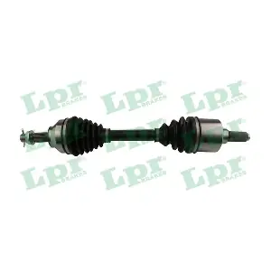 DS60187 LPR