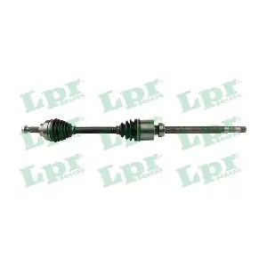 DS60191 LPR