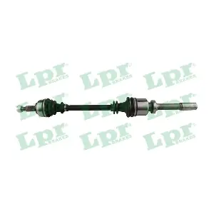 DS60739 LPR
