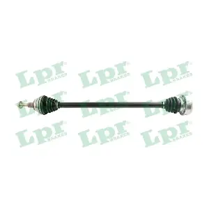 LPR DS52194
