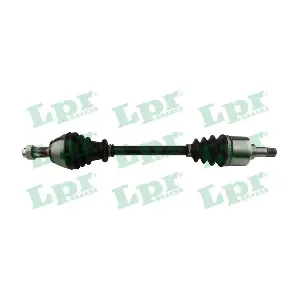 DS38059 LPR