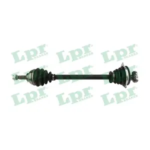 DS60303 LPR
