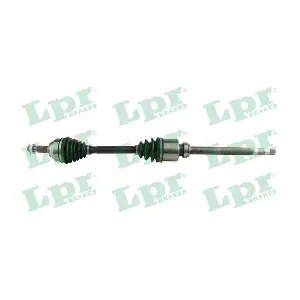 LPR DS60618