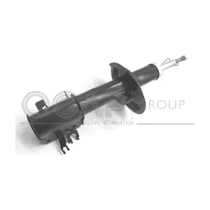 82403FL OCAP