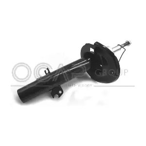 82060FL OCAP