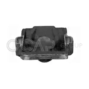 1226398 OCAP