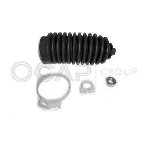 0900186 OCAP