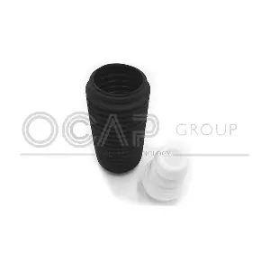 8500076 OCAP