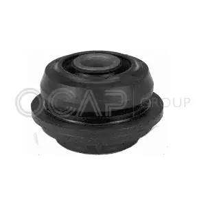 1215001 OCAP