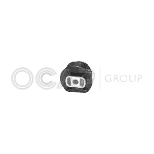 1215433 OCAP