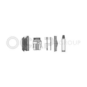 0907299 OCAP