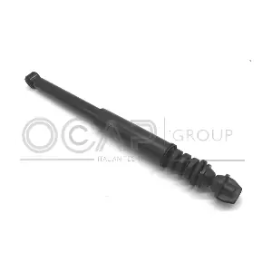 82219RU OCAP