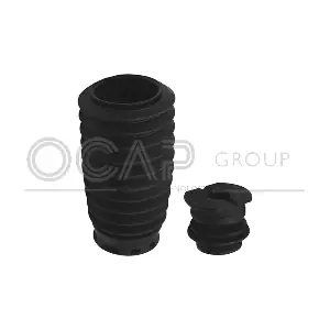 8500051 OCAP