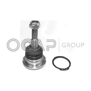 0402554 OCAP
