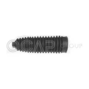 1211585 OCAP