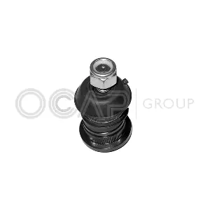 0403463 OCAP