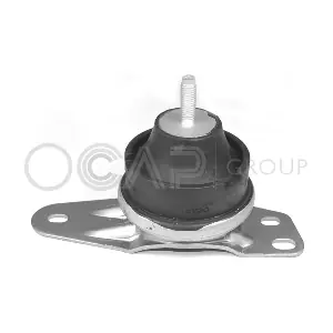 1226141 OCAP