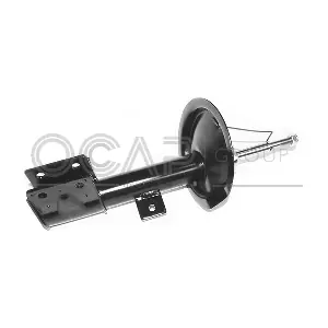 82074FL OCAP