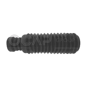 8500025 OCAP