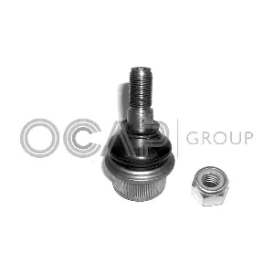 0407249 OCAP