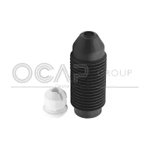 8500137 OCAP
