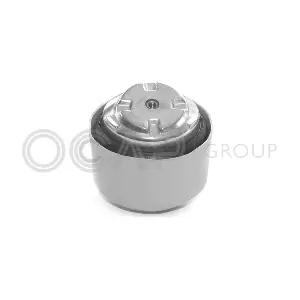 1225303 OCAP