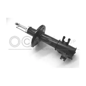 82221FL OCAP