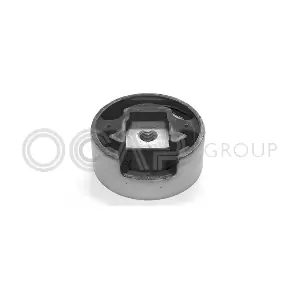 OCAP 1225054