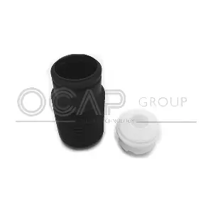 8500053 OCAP