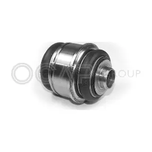 0401877 OCAP
