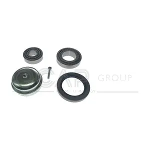 6120174 OCAP