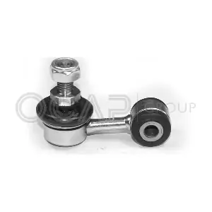 0501100 OCAP