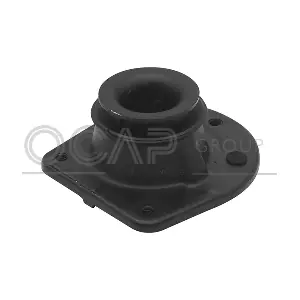 OCAP 8400066