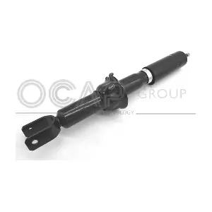 82279RU OCAP