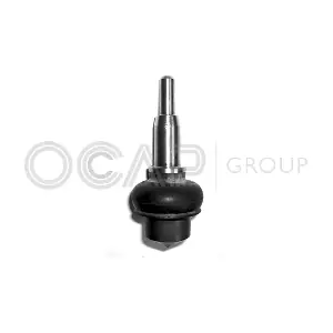 0400256 OCAP