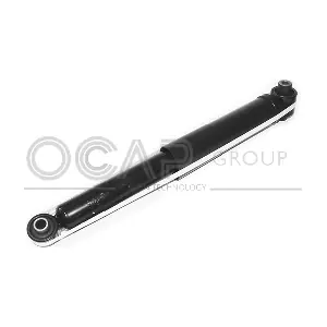 82665RU OCAP