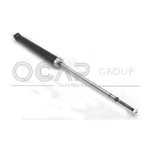 82140RU OCAP