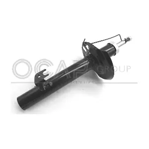 82193FL OCAP